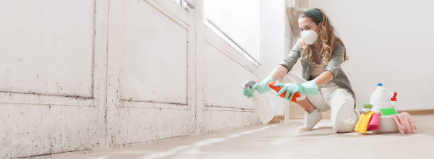 Mold Documentation for Insurance Claims in Sebastian, TX